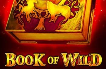 Book of Wild